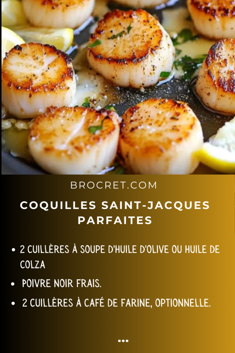 Coquilles Saint-Jacques - Poissonnerie Laporte Nicot